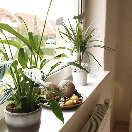 Apartment Modern Feel-good